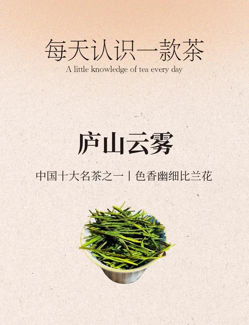 云雾茶属于什么茶类