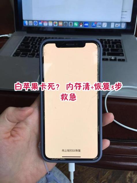内存满白苹果过几天能打开吗截图