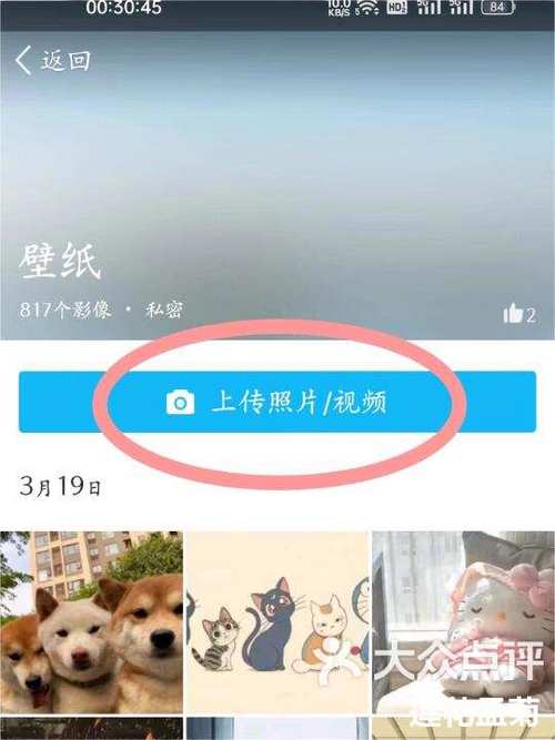 qq可以上传实况照片吗
