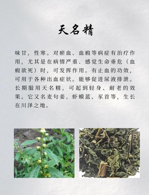 本草纲目有多少种中药缩略图