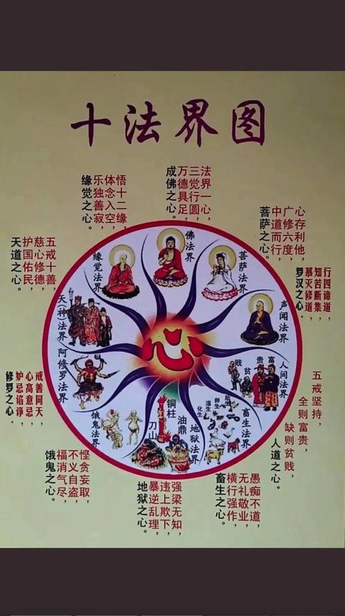 《法相仙途》百科