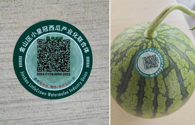 西瓜接码新平台缩略图