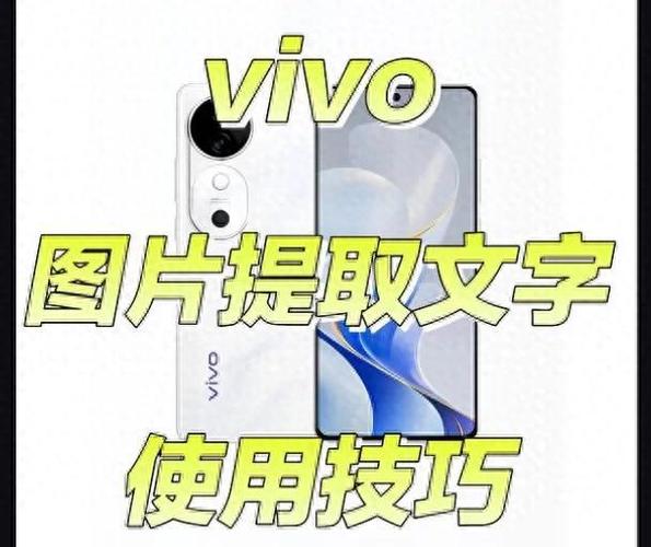 vivo文字扫描功能