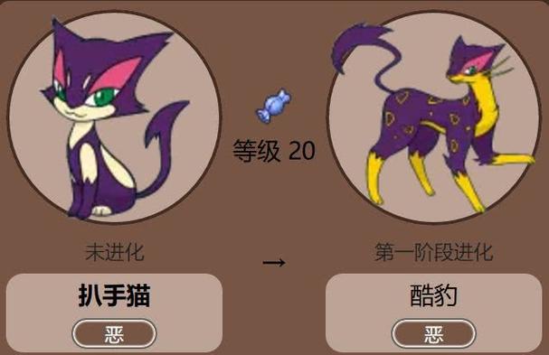 扒手猫进化三个阶段