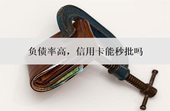 高负债最好下的信用卡