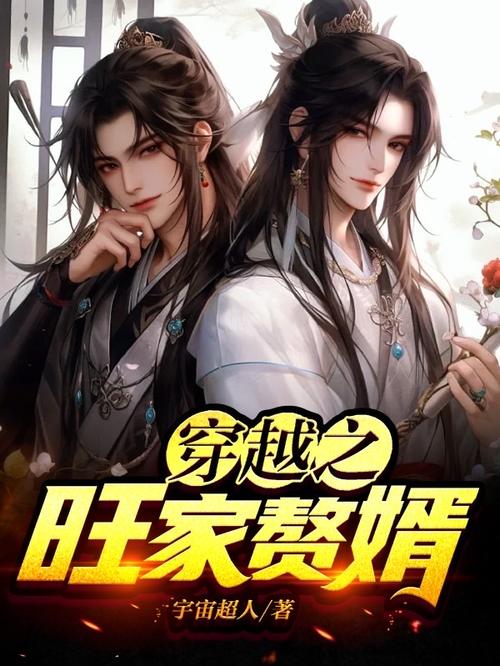 穿越之家有赘婿完结了