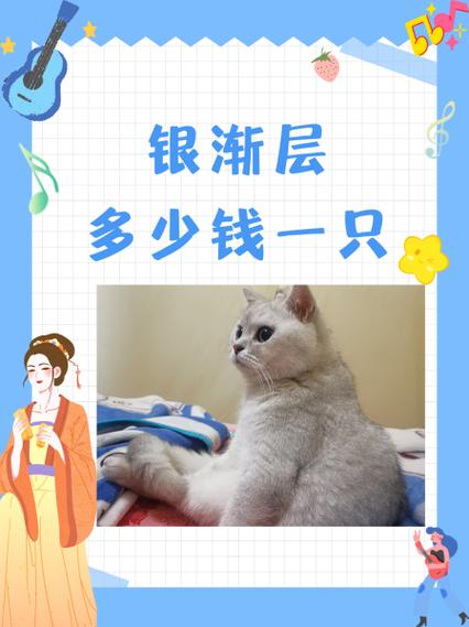 银渐层怎么看纯不纯