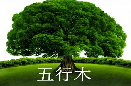 如何算五行缺什么