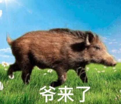 爷回来了表情包图标