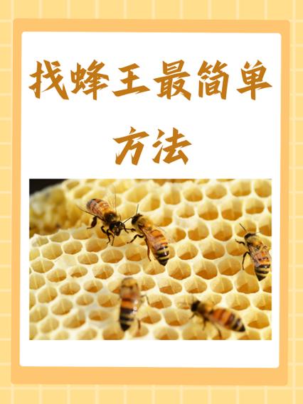 饥荒联机版蜂王截图