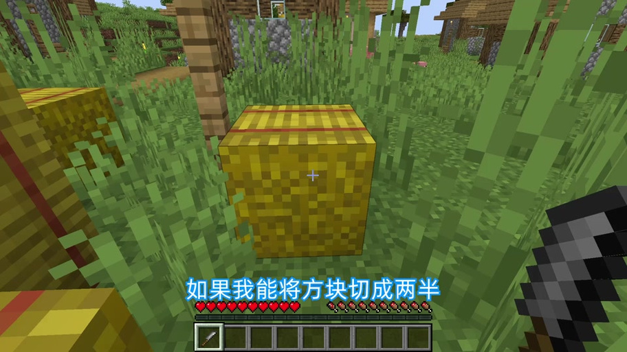 我的世界椒盐蛋的奇妙生存记