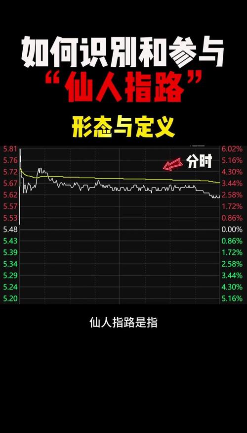 仙人指路是什么生肖