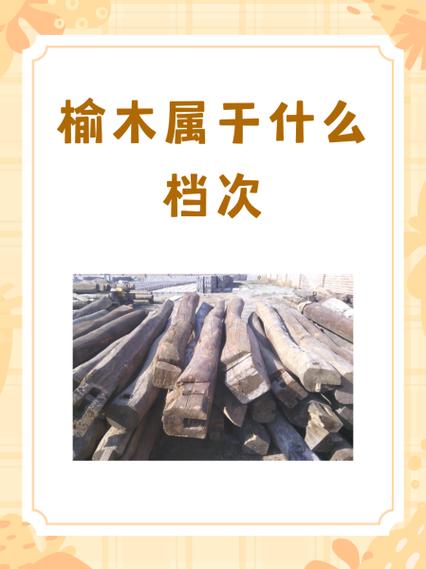 北方榆木属于什么档次