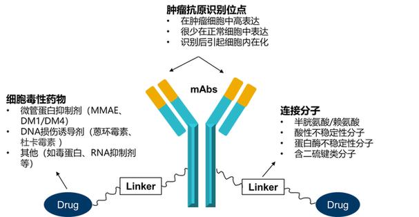 生物导弹实现了吗
