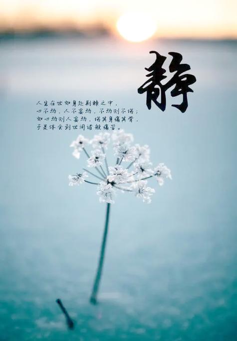 静心的咒