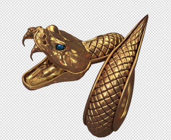 穿越火线金蛇戒指和魔龙戒指哪个好