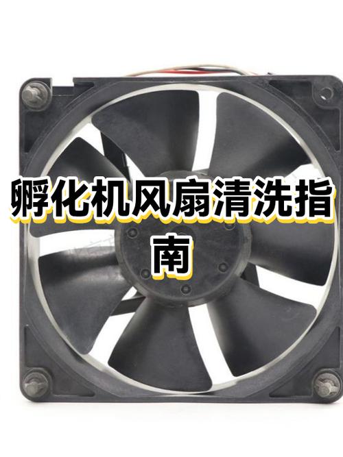 洗电风扇用什么洗最干净图标