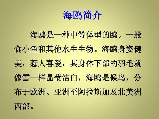 海鸥vp6.6.2最新版本更新内容游戏截图