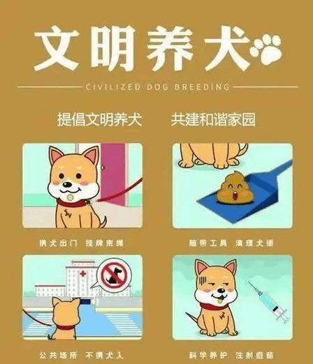养犬证如何办理