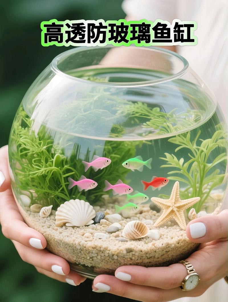 塑料盒能养鱼吗小鱼缸养鱼