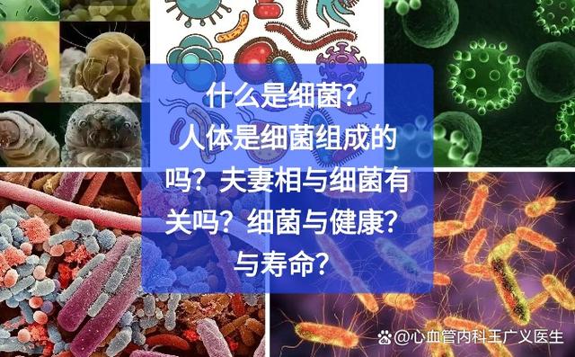 夫妻相菌群趋于一致