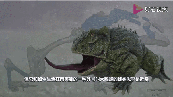人把活蛆吃了会怎么样