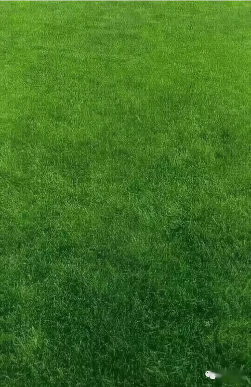 不伤眼睛的手机屏幕