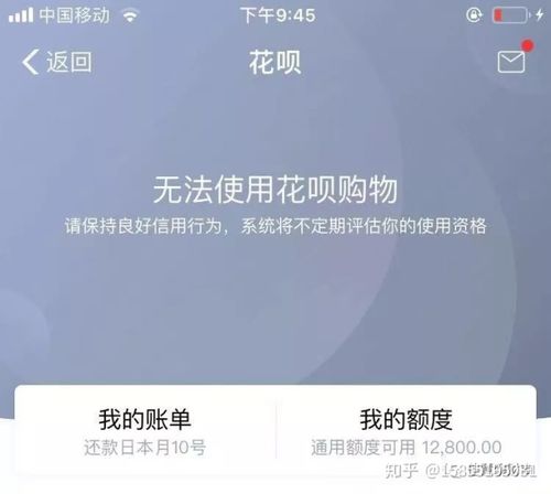 唯品花业务调整暂停使用