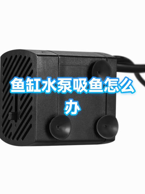 森森鱼缸水泵怎么拆开清洗