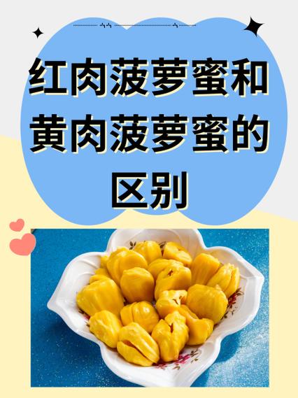 菠萝蜜一斤有几个果肉