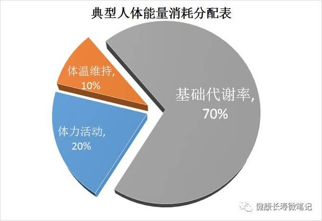 基础代谢和总能量消耗