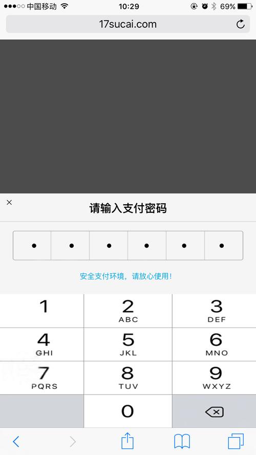 支付宝怎么解除免密码支付