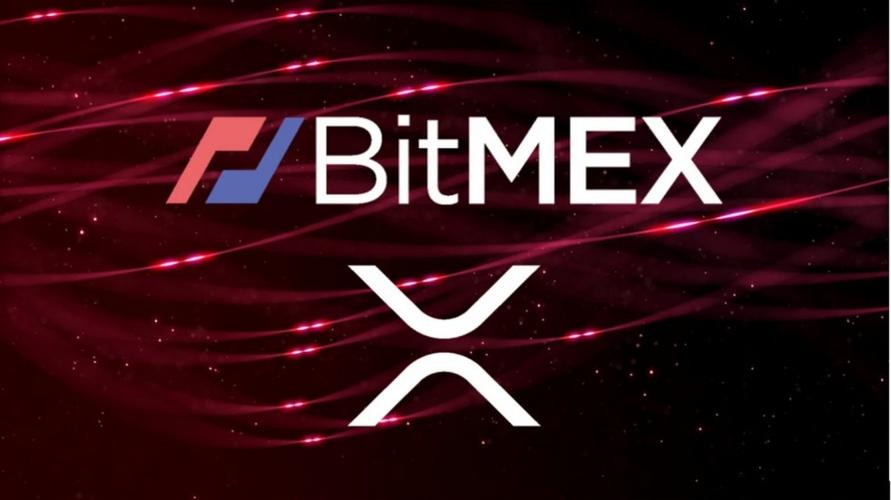 bitmex交易所app