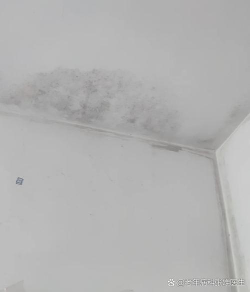 房间发霉对人有什么影响