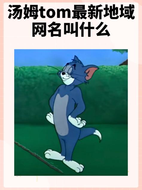 汤姆的全名叫什么