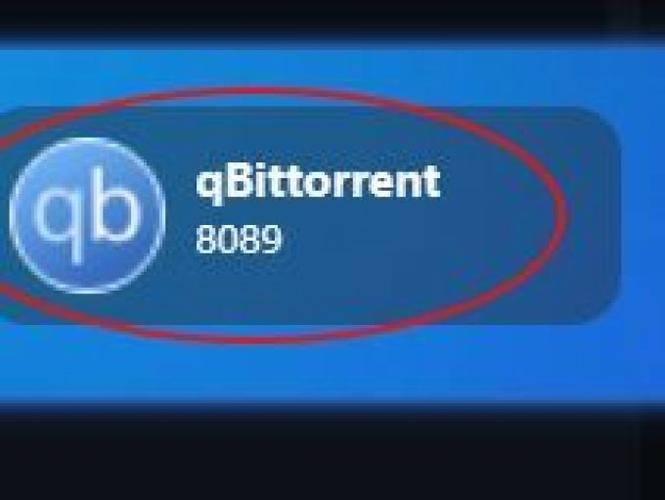 qbittorrent安卓版下载官网