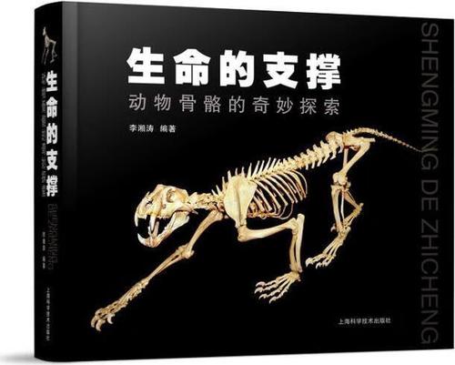 用上ECMO意味着什么