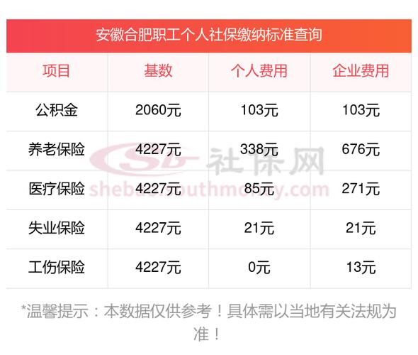 安徽社保个人缴费缩略图