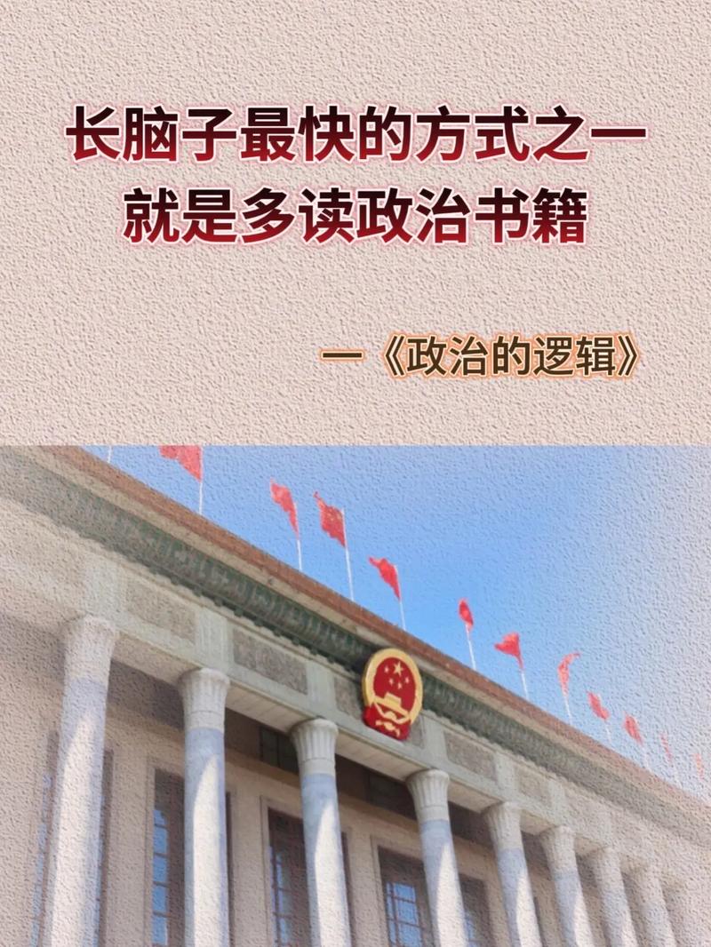 真实政治汉化版闪退