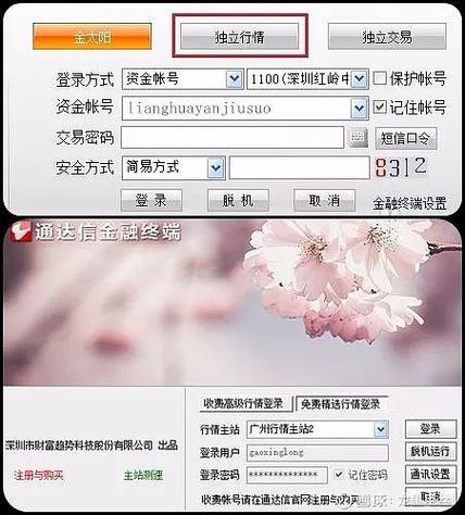 手机通达信如何导入代码