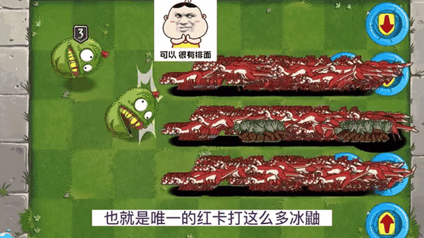冰鼬怎么对付