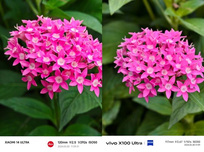 vivo和小米玩游戏哪个好