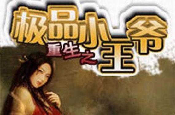 极品小王爷
