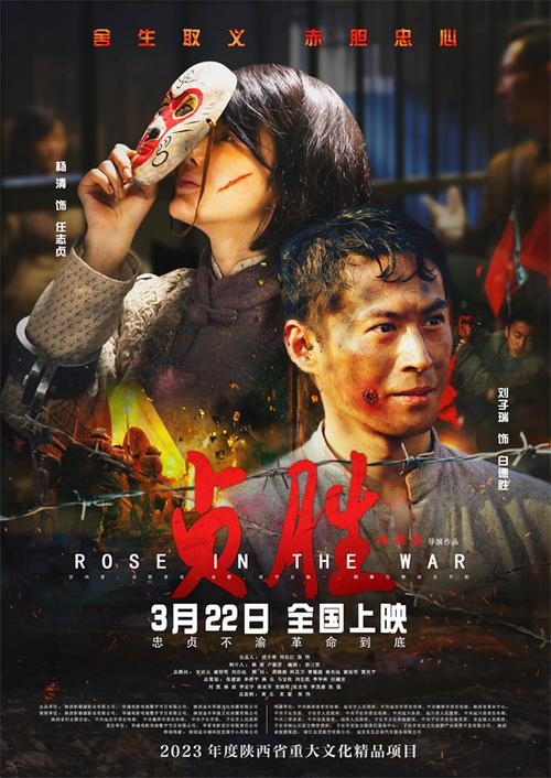 电影《贞胜》免费观看