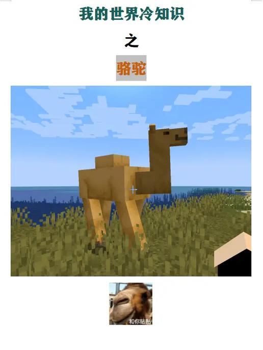 我的世界骆驼用什么鞍缩略图