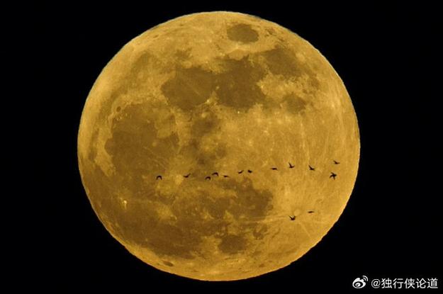 华为p30pro月亮模式图标