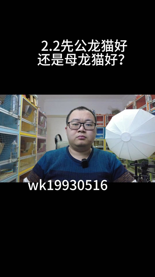 龙猫数据众包缩略图