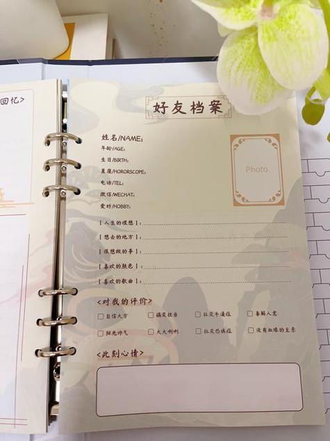 小红书发现好友通讯录好友突然没了