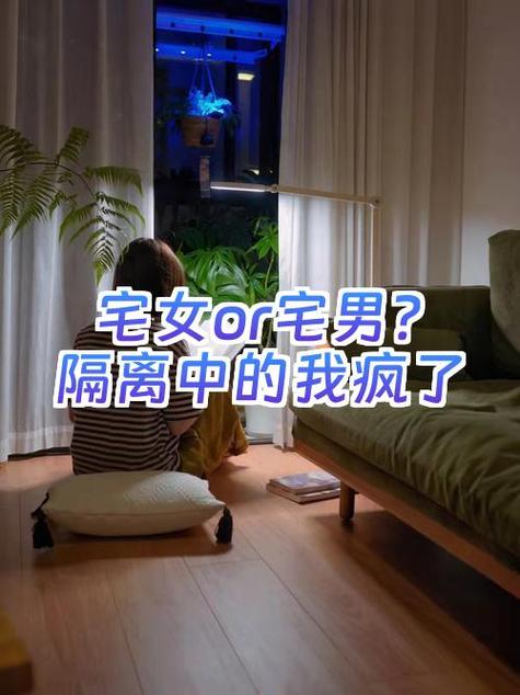 你给我乖乖待在沙发上是什么歌