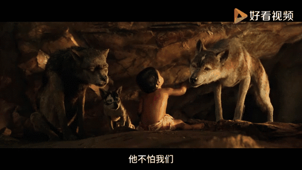 《丛林之子》在线观看